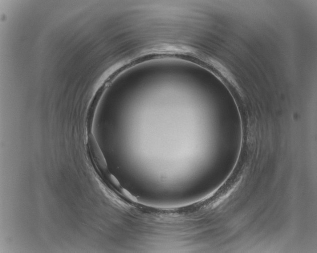 X0000058830837200510031344