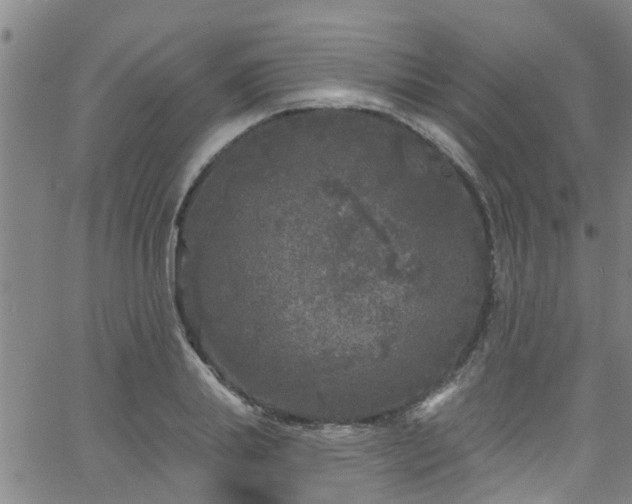 X0000058830839200510031344