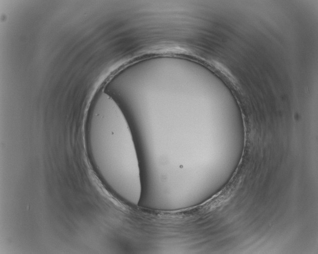 X0000058830840200510031345