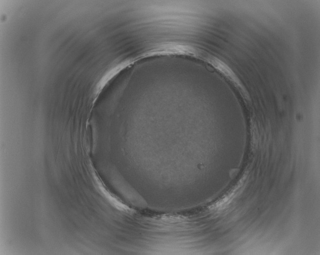 X0000058830842200510031345