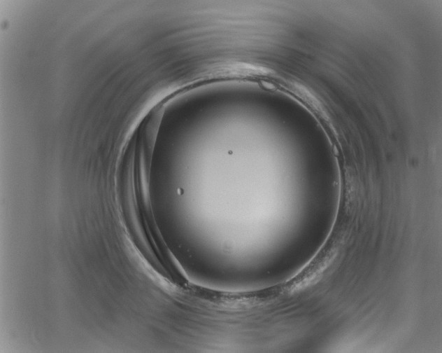 X0000058830843200510031345