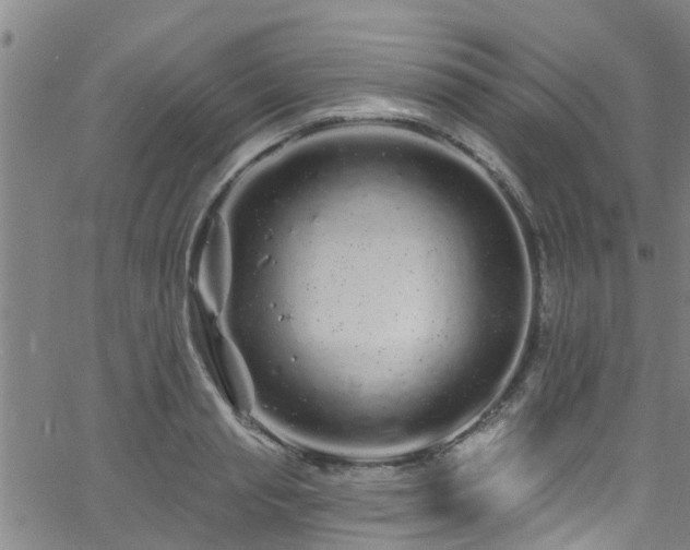 X0000058830845200510031345