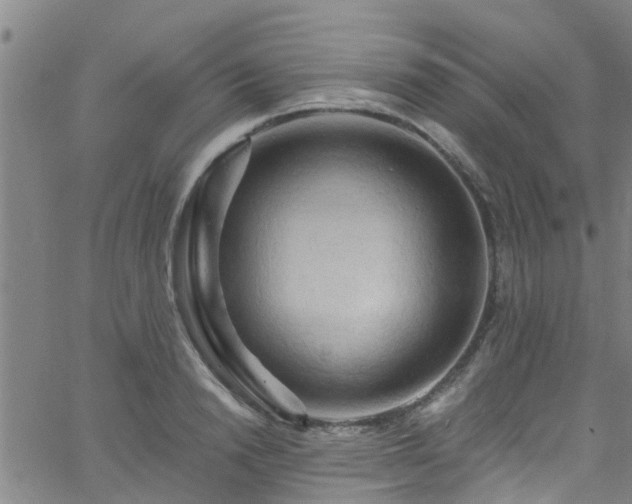 X0000058830846200510031345