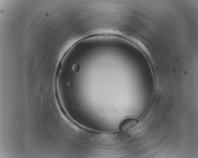 X0000058830847200510031345