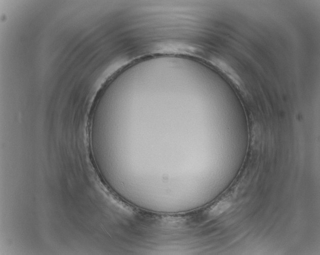 X0000058830848200510031345