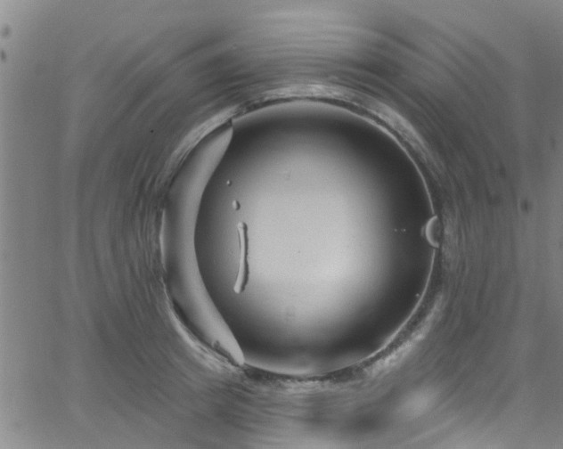 X0000058830849200510031345