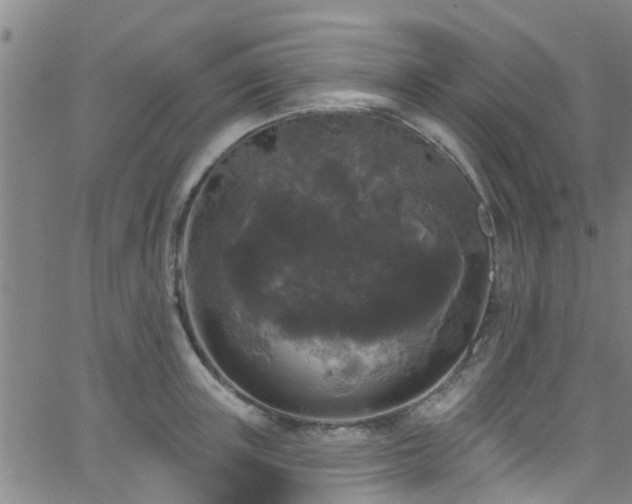 X0000058830851200510031345