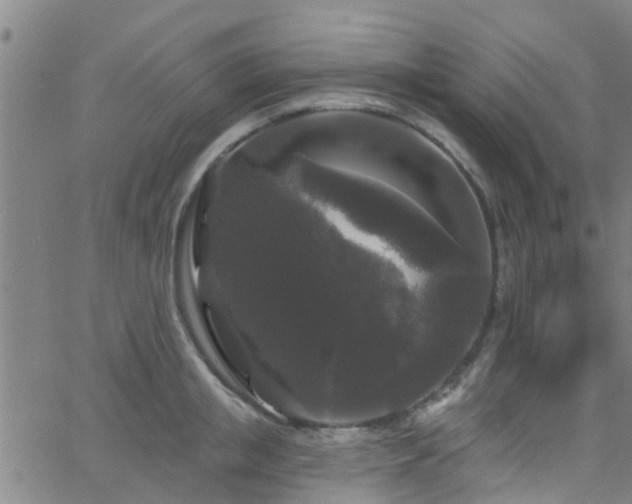 X0000058830853200510031345