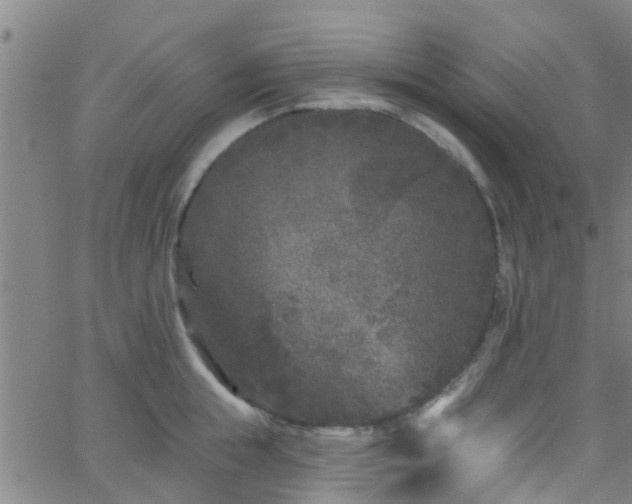 X0000058830855200510031345