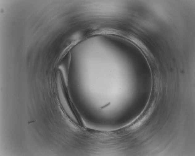 X0000058830857200510031345