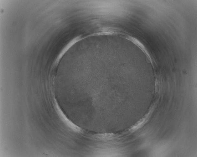 X0000058830859200510031345