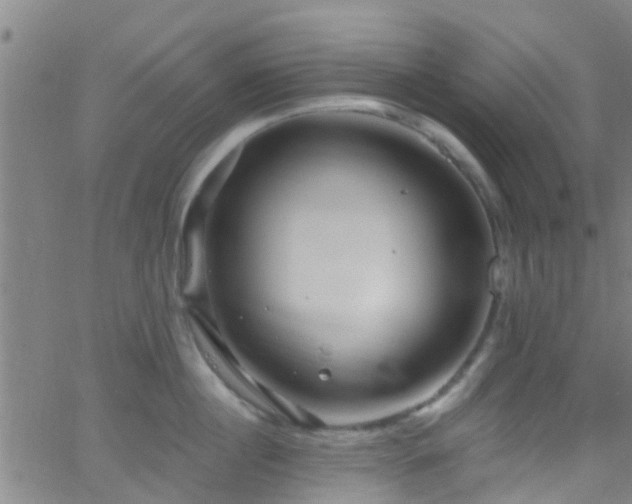 X0000058830860200510031345