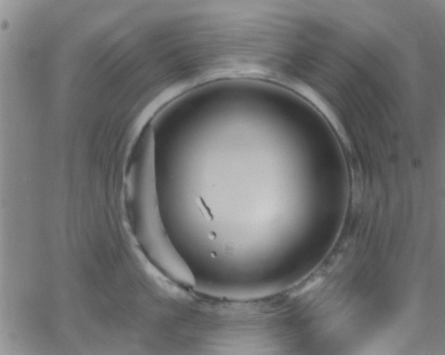 X0000058830861200510031345