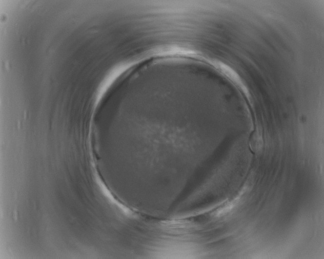 X0000058830863200510031345