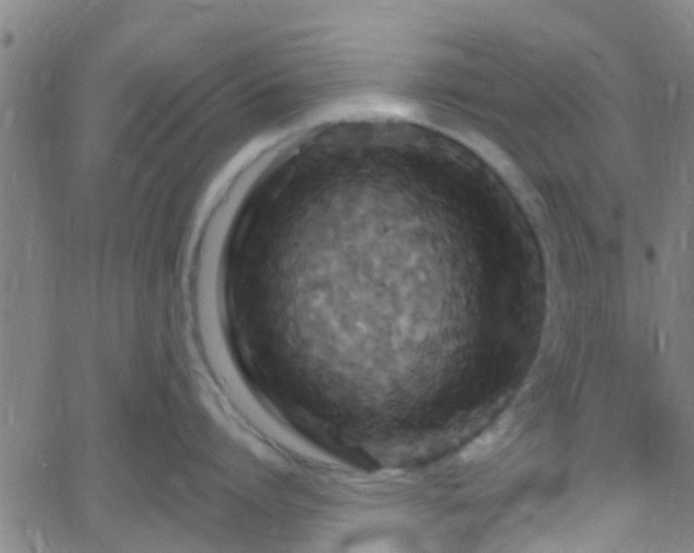 X0000058830864200510031345