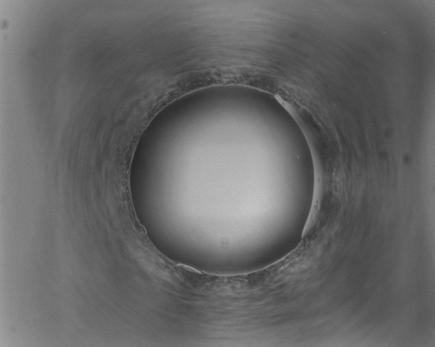 X0000058830865200510031344