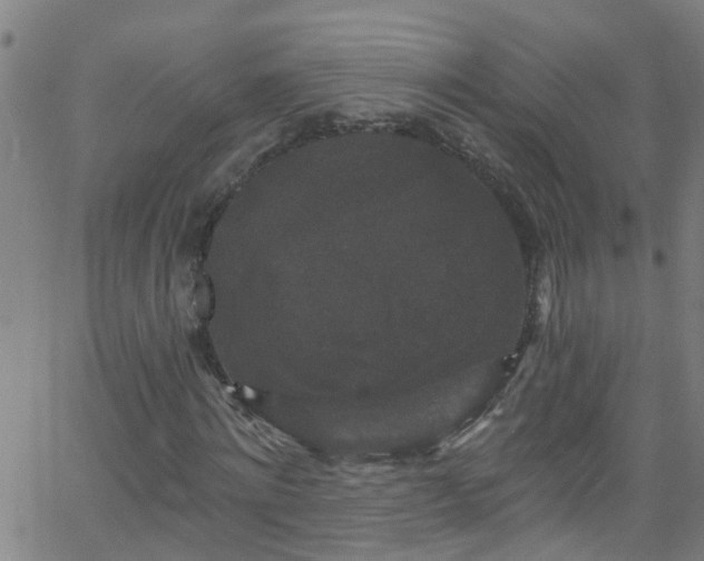 X0000058830868200510031344