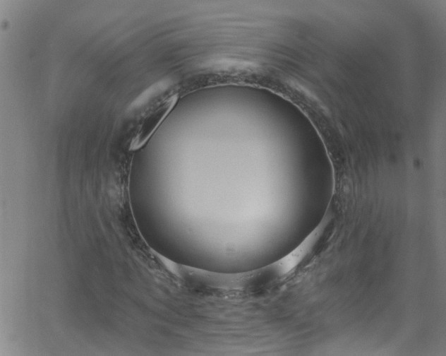 X0000058830869200510031344