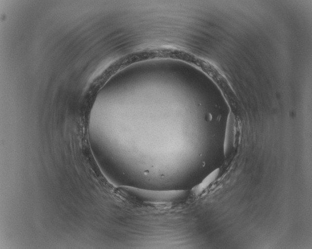 X0000058830871200510031344