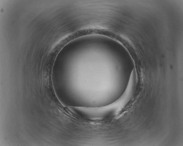 X0000058830872200510031344