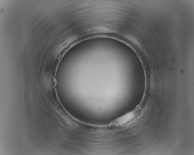 X0000058830873200510031344