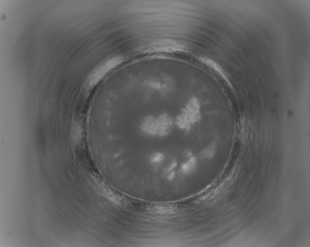 X0000058830874200510031344