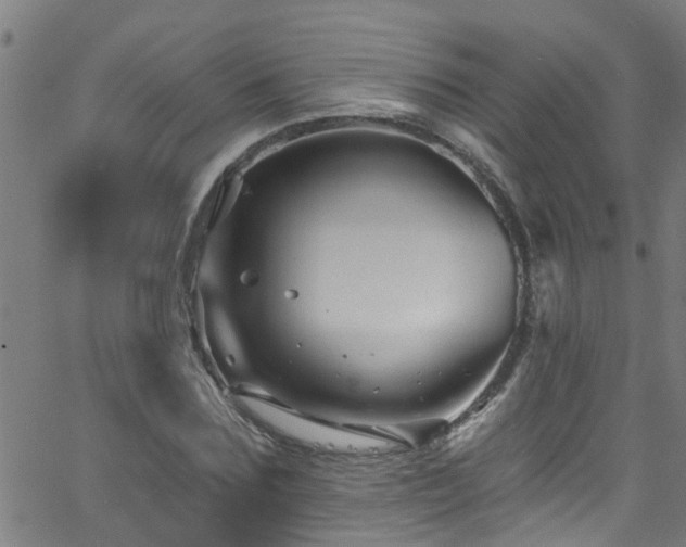 X0000058830875200510031344