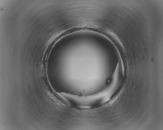 X0000058830876200510031344