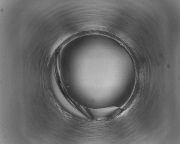 X0000058830877200510031344