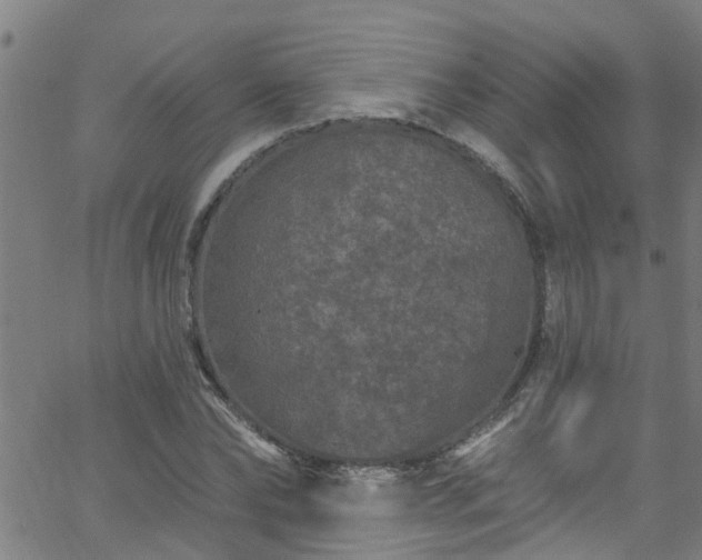 X0000058830878200510031344