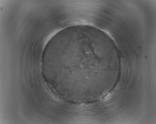 X0000058830879200510031344