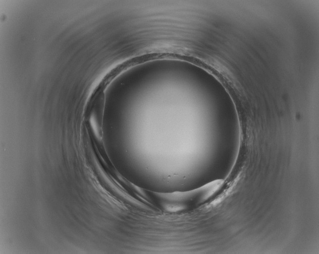 X0000058830880200510031344