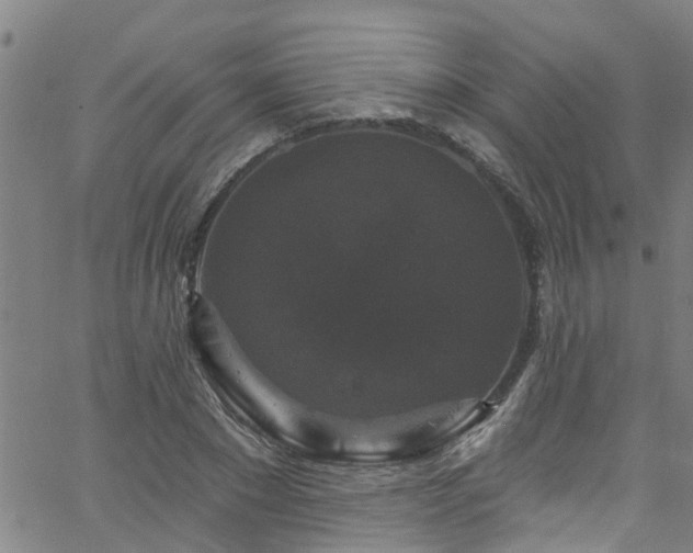 X0000058830881200510031344