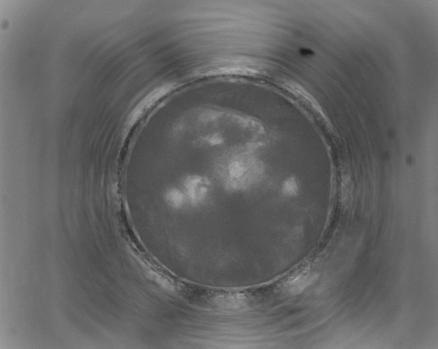 X0000058830882200510031344