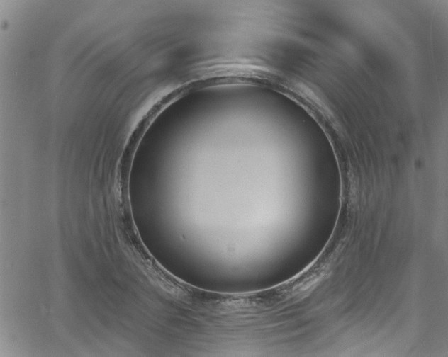 X0000058830883200510031344