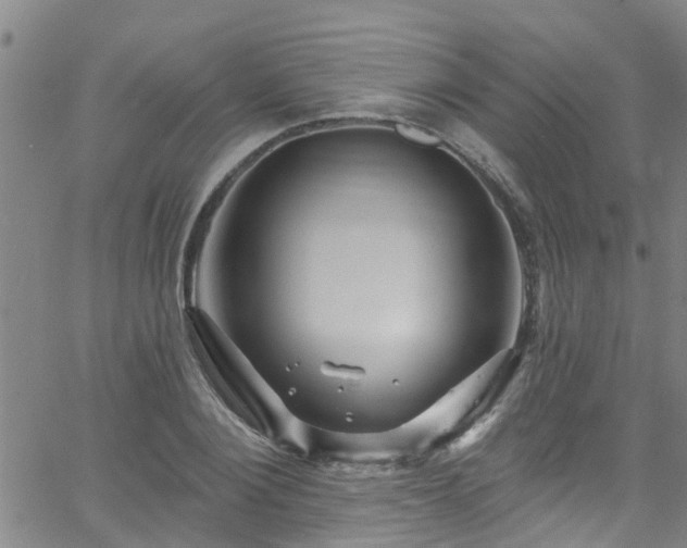 X0000058830884200510031344