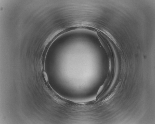 X0000058830885200510031344