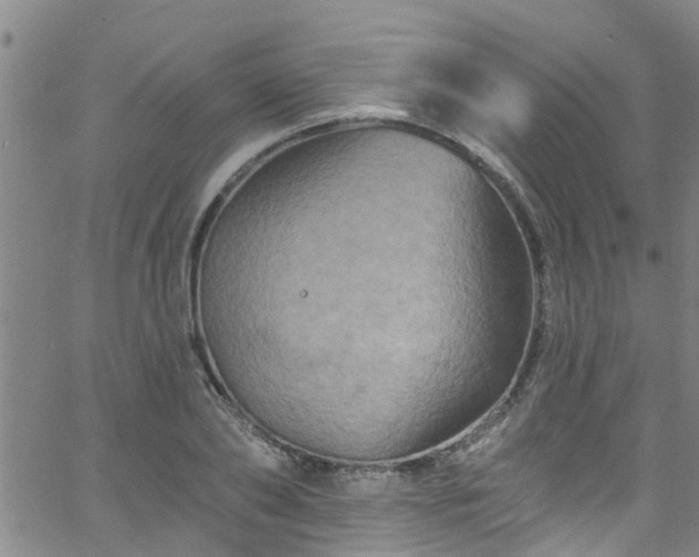 X0000058830886200510031344