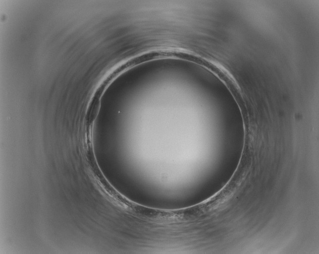 X0000058830887200510031344