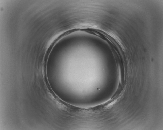 X0000058830888200510031344