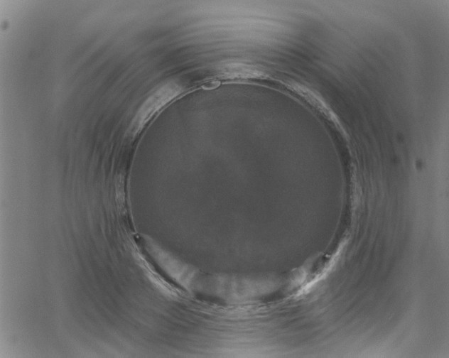 X0000058830889200510031344