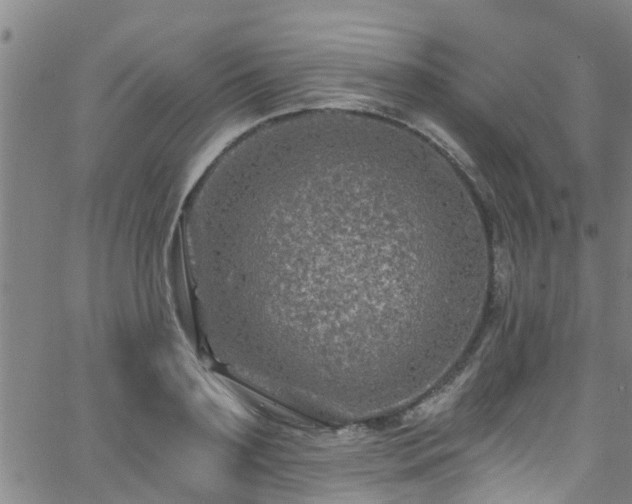 X0000058830891200510031344