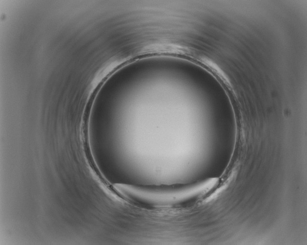 X0000058830893200510031344