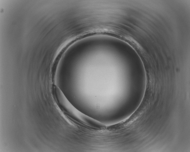 X0000058830894200510031344