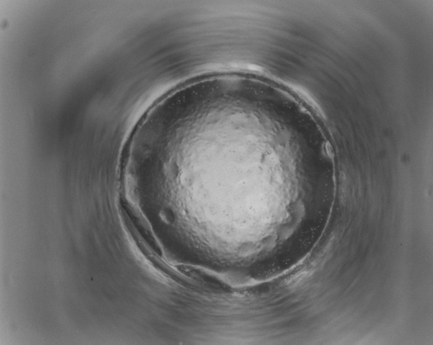 X0000058830895200510031344