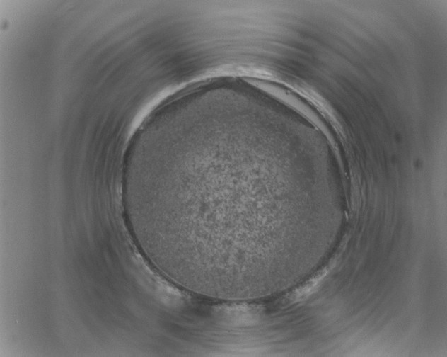 X0000058830896200510031344