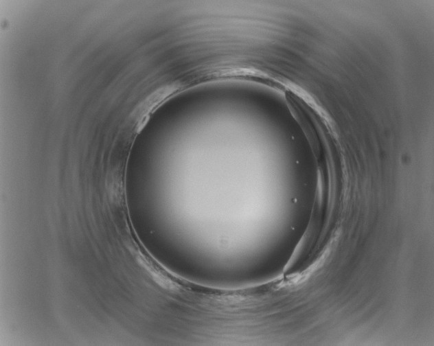 X0000058830897200510031344