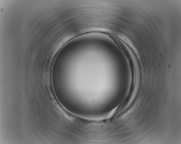 X0000058830898200510031344