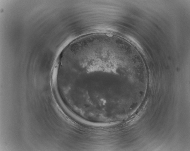 X0000058830899200510031344