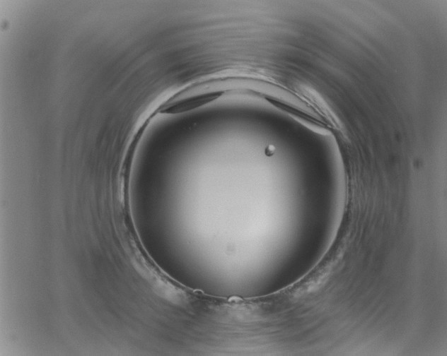 X0000058830900200510031344